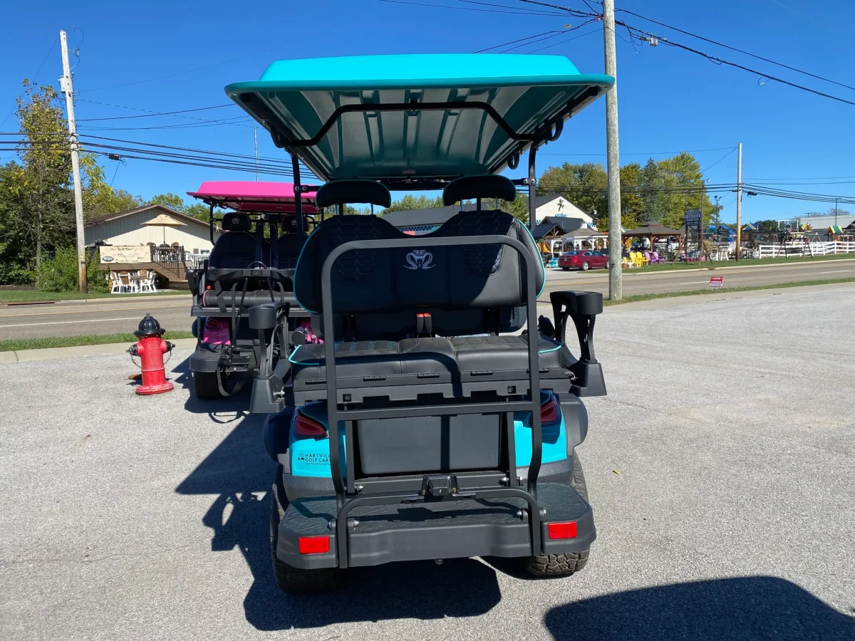 ev golf cart painesville ohio Kirtland Hills ohio