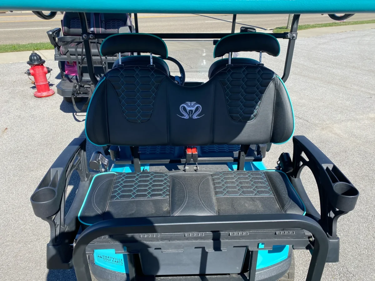 ev golf cart painesville ohio Madison ohio