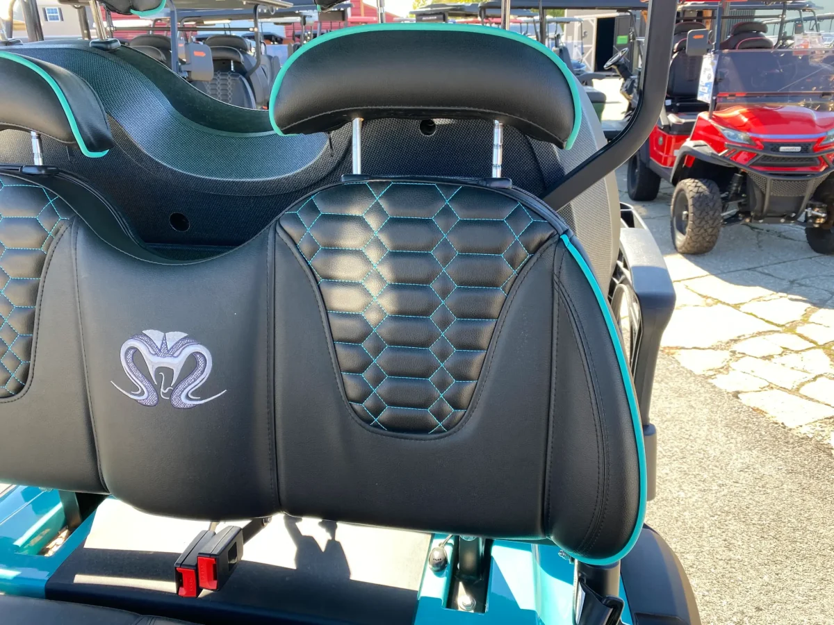 ev golf cart painesville ohio chardon ohio 1