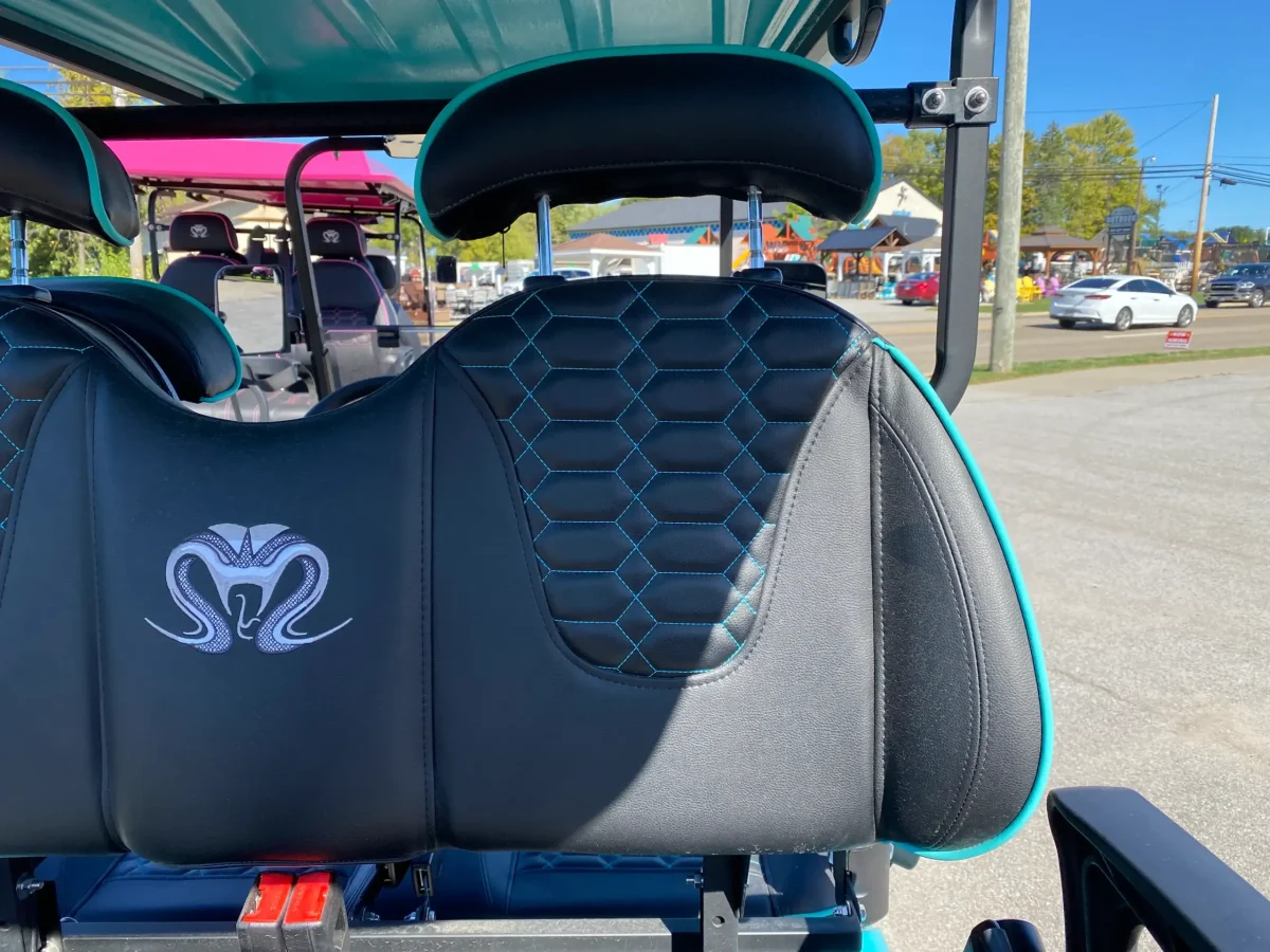 ev golf cart painesville ohio concord twp ohio