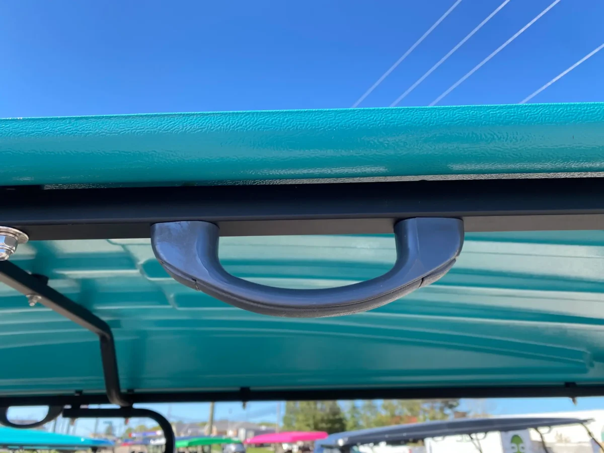 ev golf cart painesville ohio mentor on the lake 1