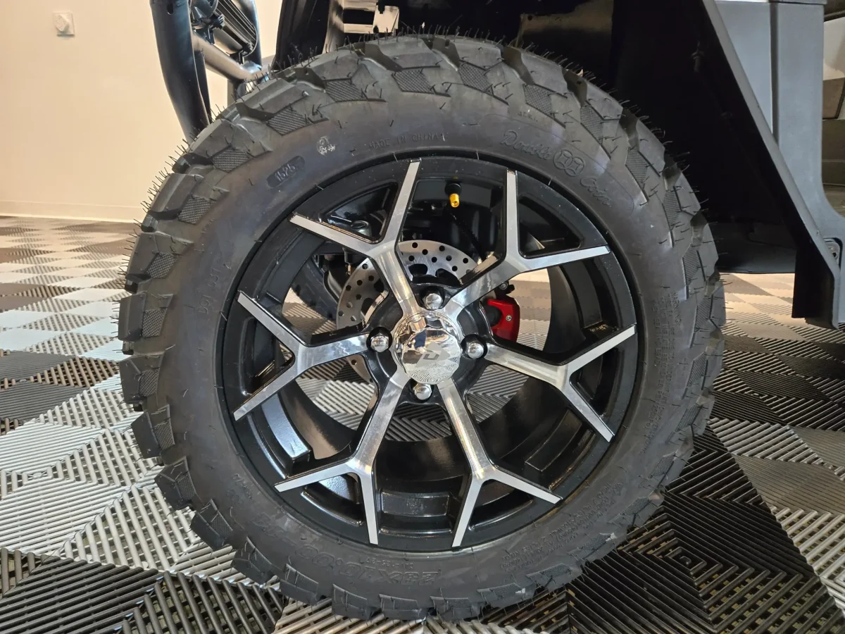 ev golf cart painesville ohio mentor on the lake 1