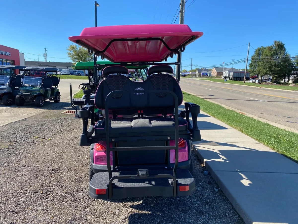 ev six seater golf cart painesville ohio Kirtland Hills ohio