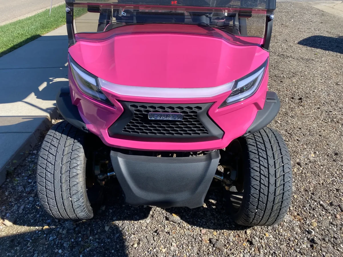 ev six seater golf cart painesville ohio concord twp ohio