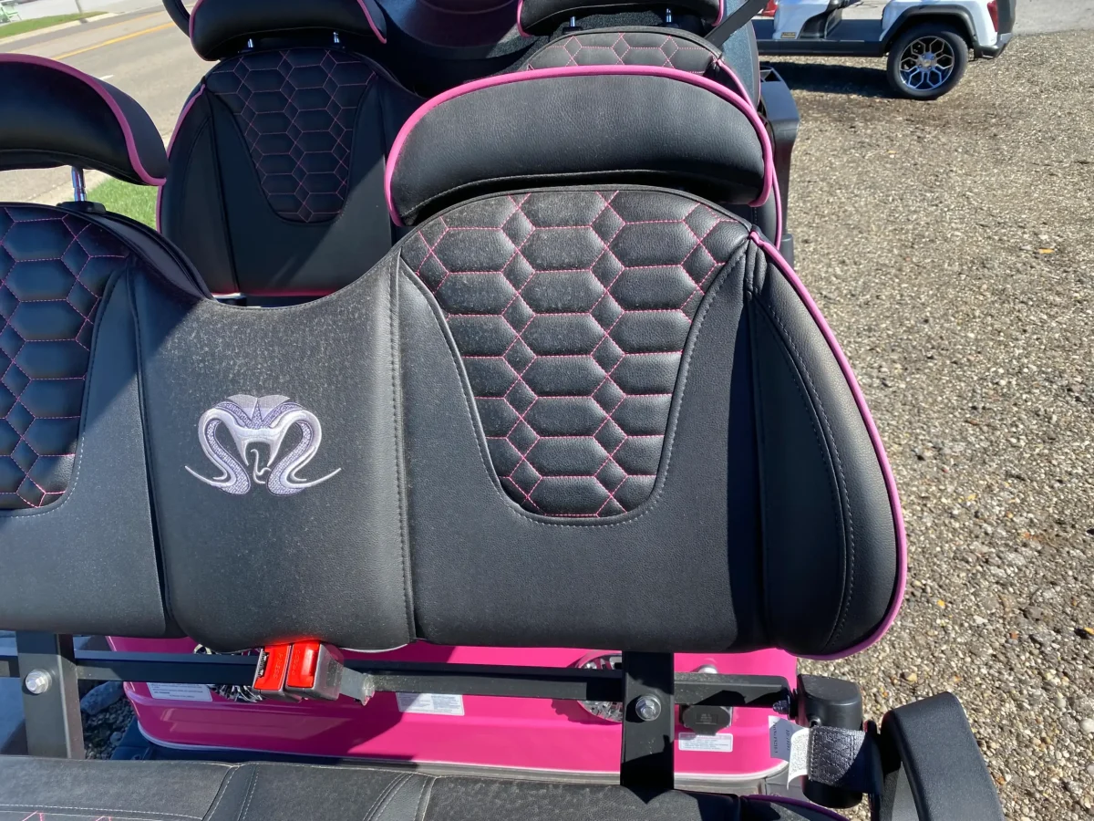 ev six seater golf cart painesville ohio grand river ohio