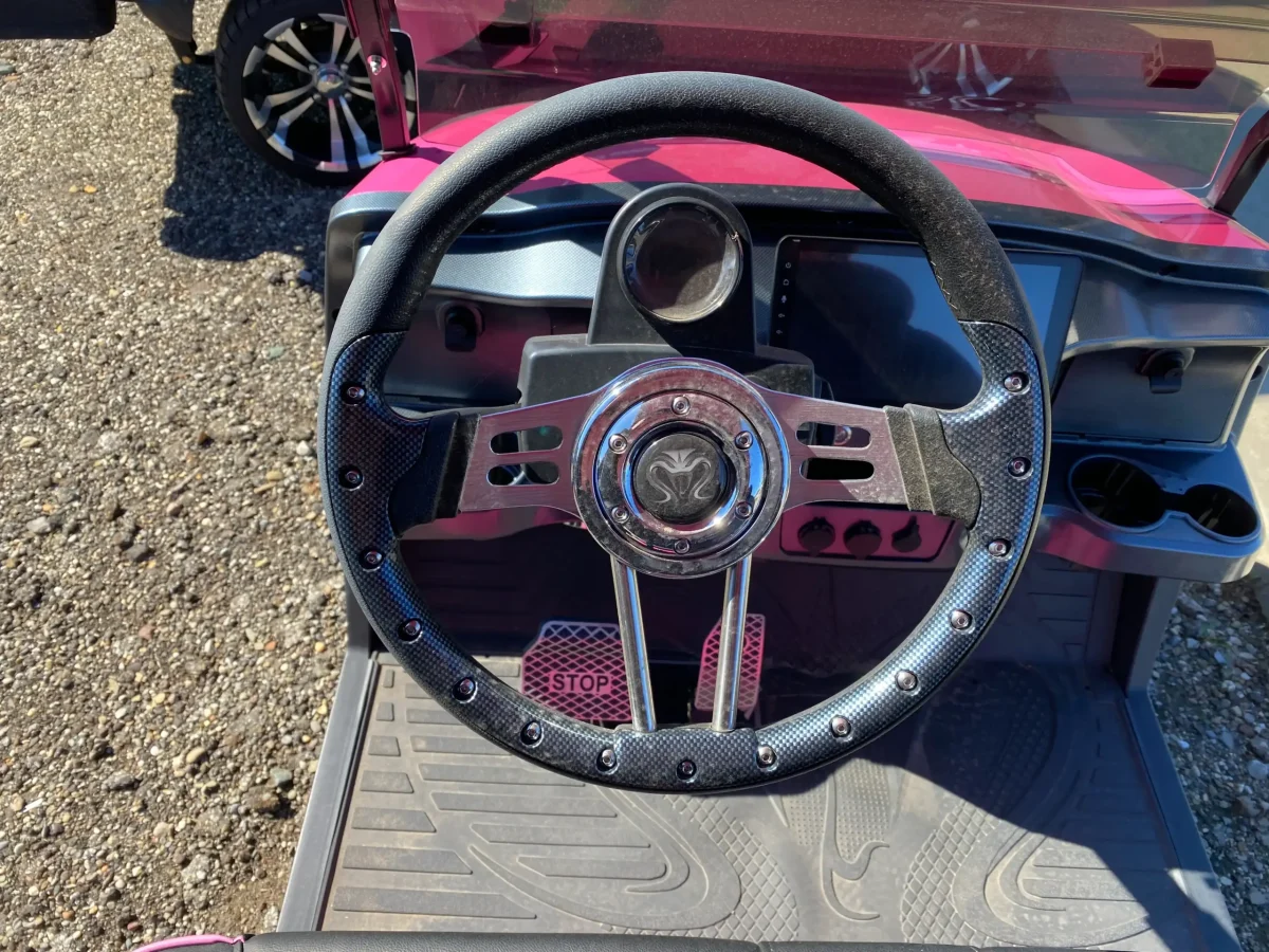 ev six seater golf cart painesville ohio mentor on the lake 1