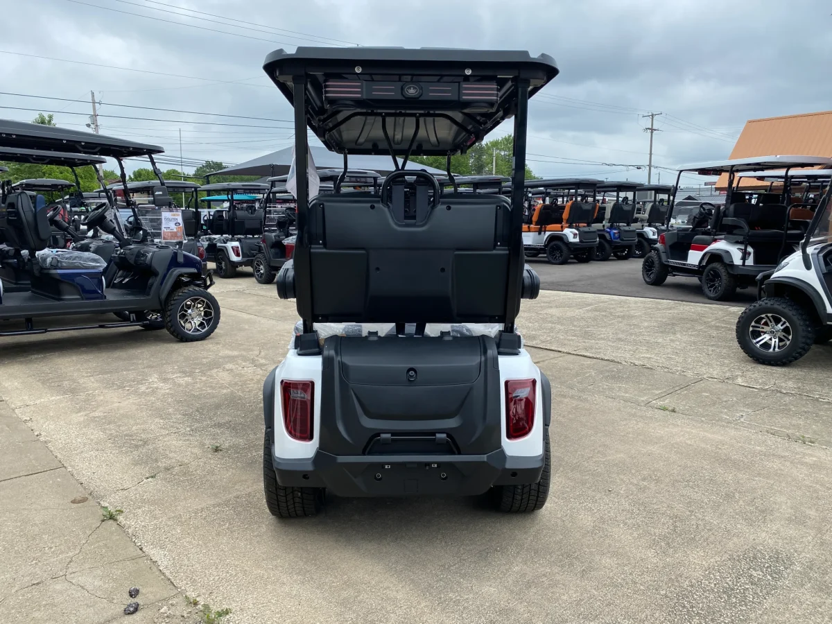evolution golf cart painesville Near me