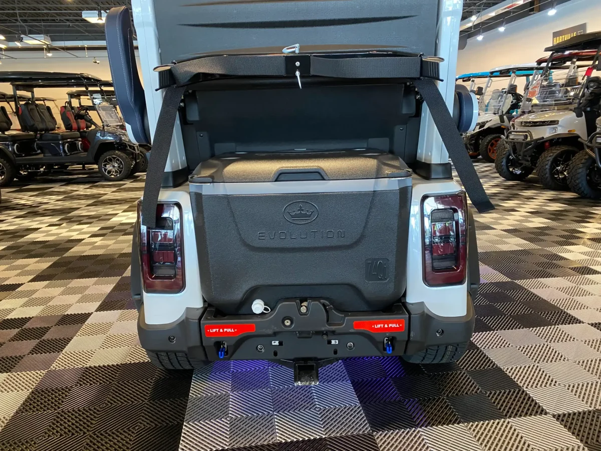 evolution golf carts d series gt6 for sale Mentor on the Lake Ohio