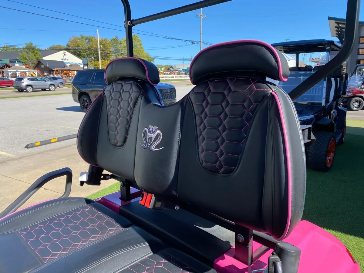 forward facing golf cart mentor on the lake 1