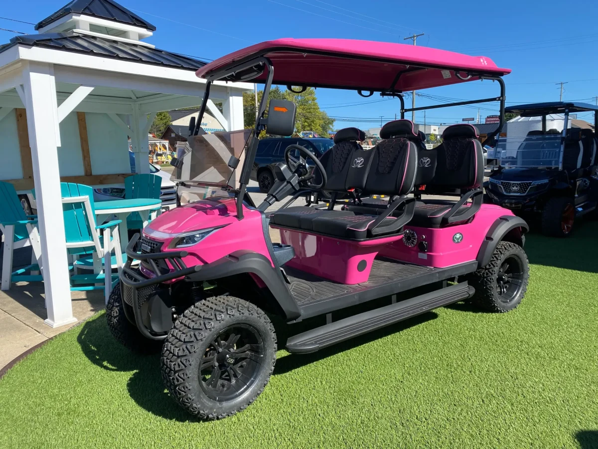 forward facing golf cart mentor on the lake