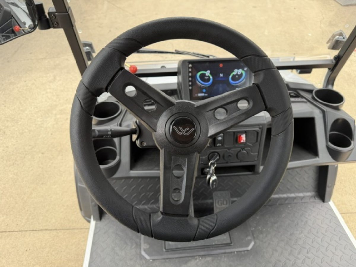 forward facing golf carts​ Painesville Ohio