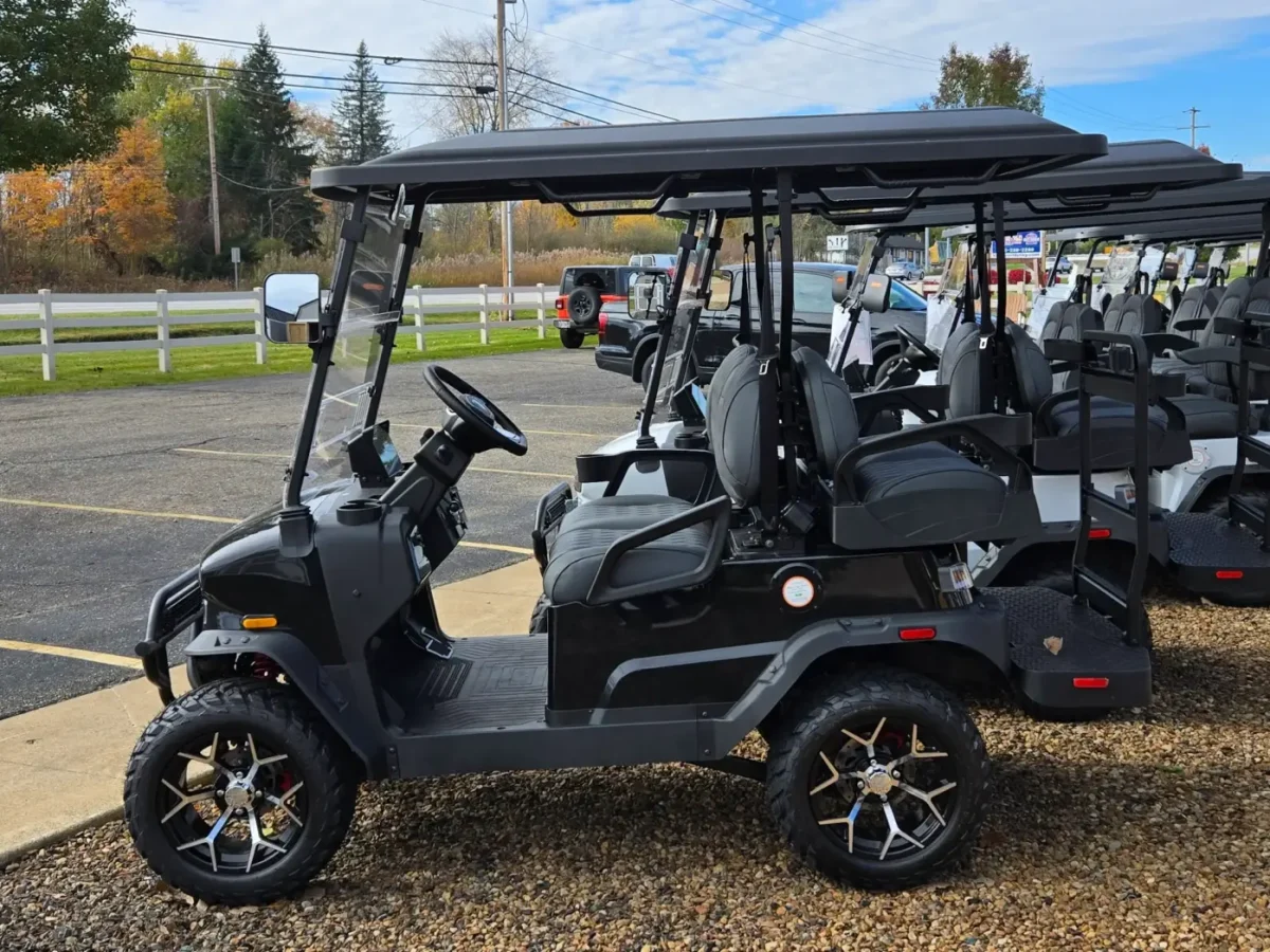 four passenger ev golf cart painesville mentor on the lake 1
