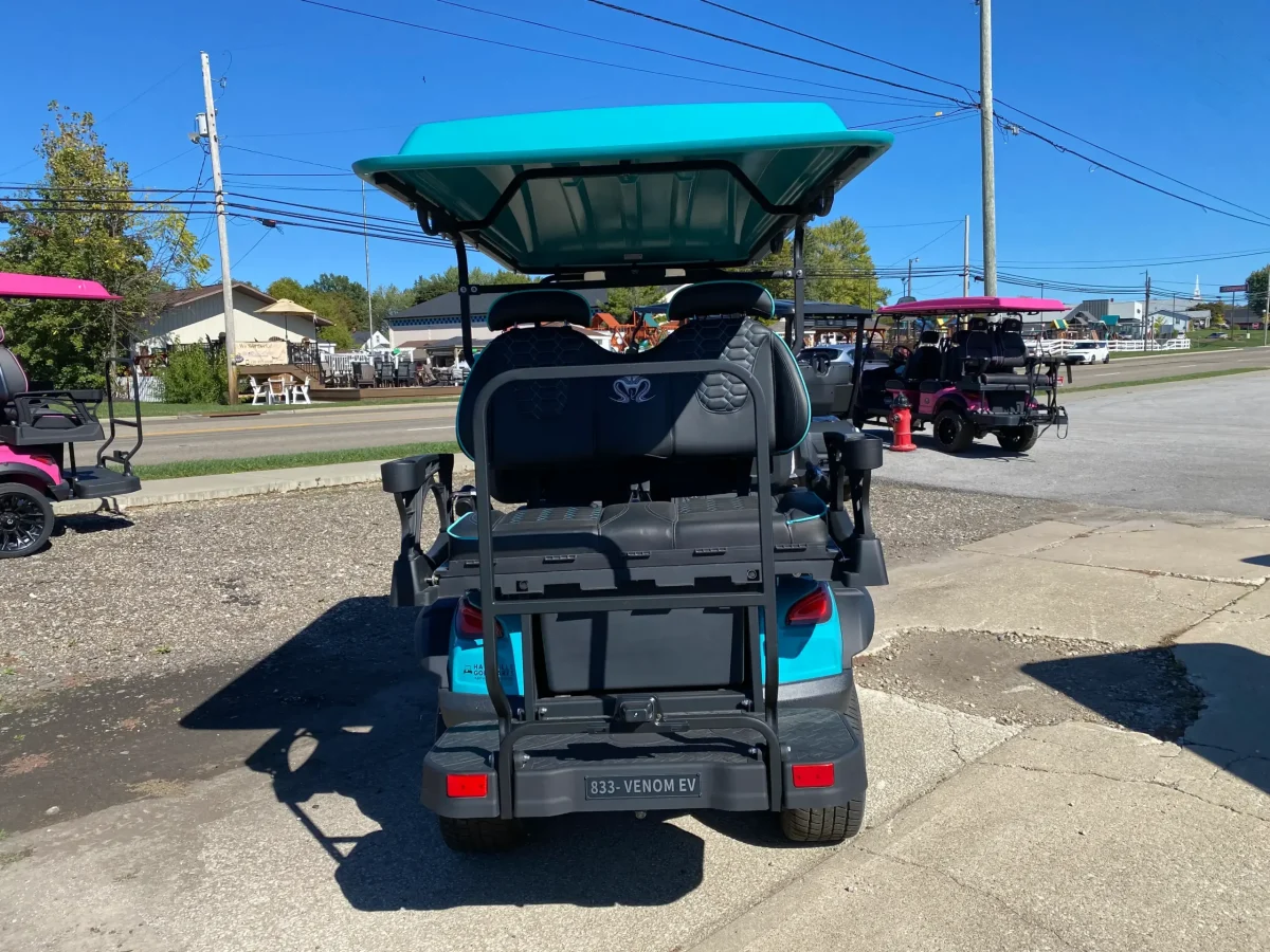 four seater golf cart Painesville ohio mentor ohio