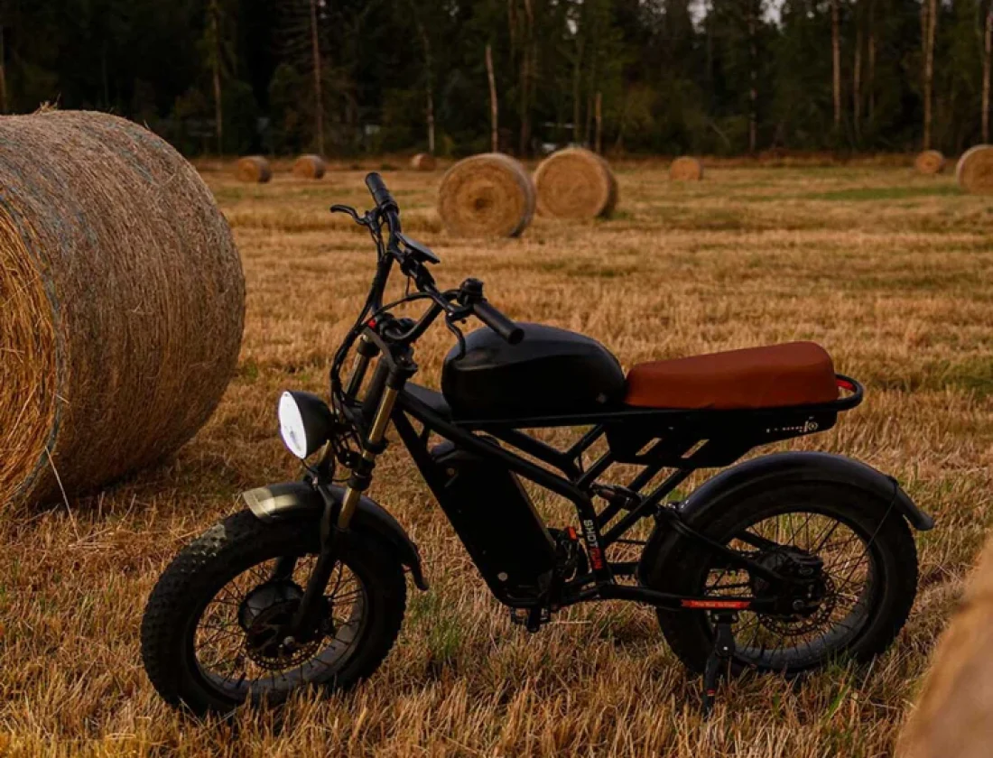 freego flash f3 pro ebike Barberton Ohio