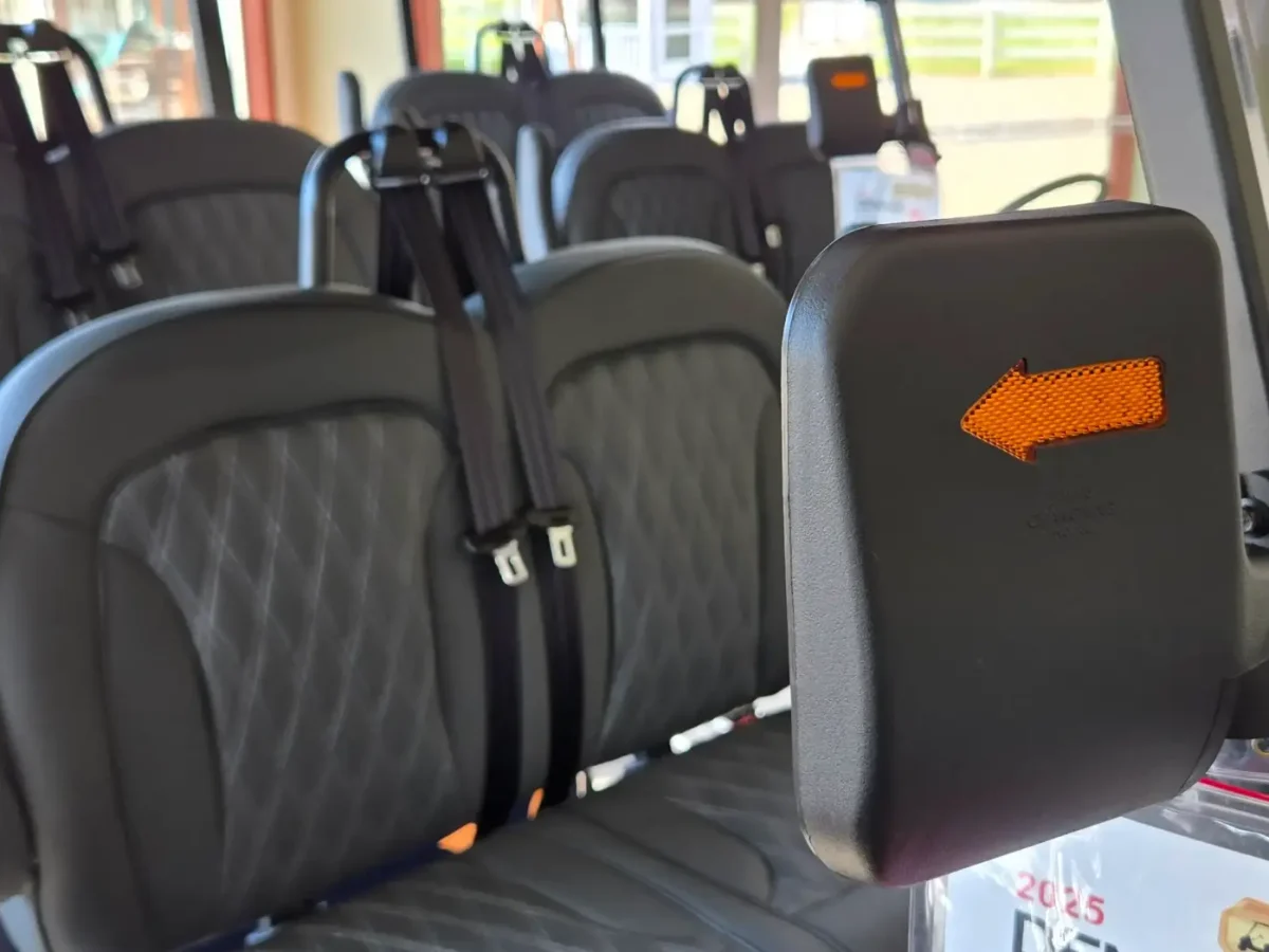 golf cart electric painesville mentor ohio