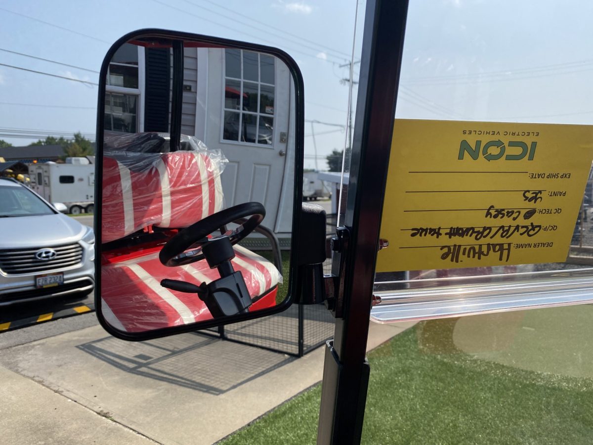 golf cart side mirror icon