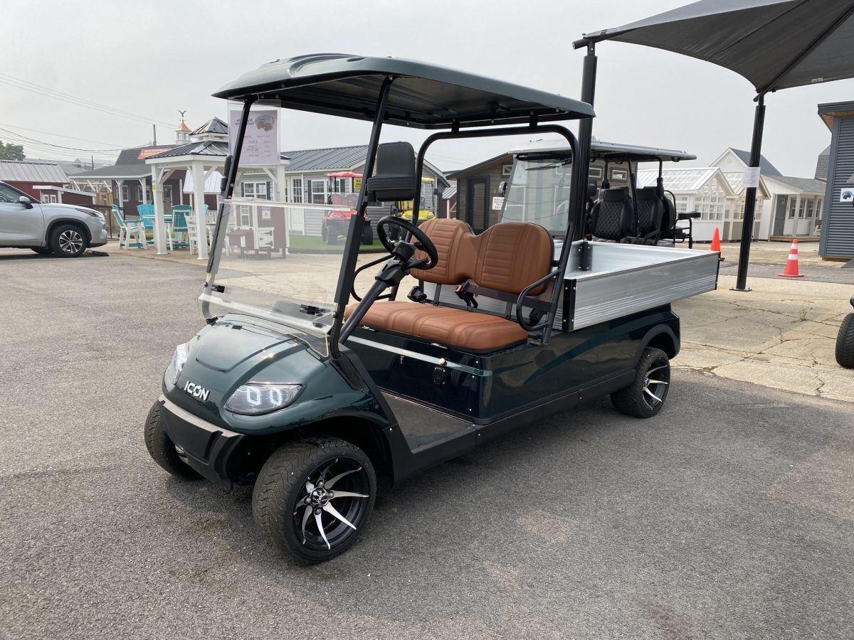 golf cart with dump bed for sale (2)