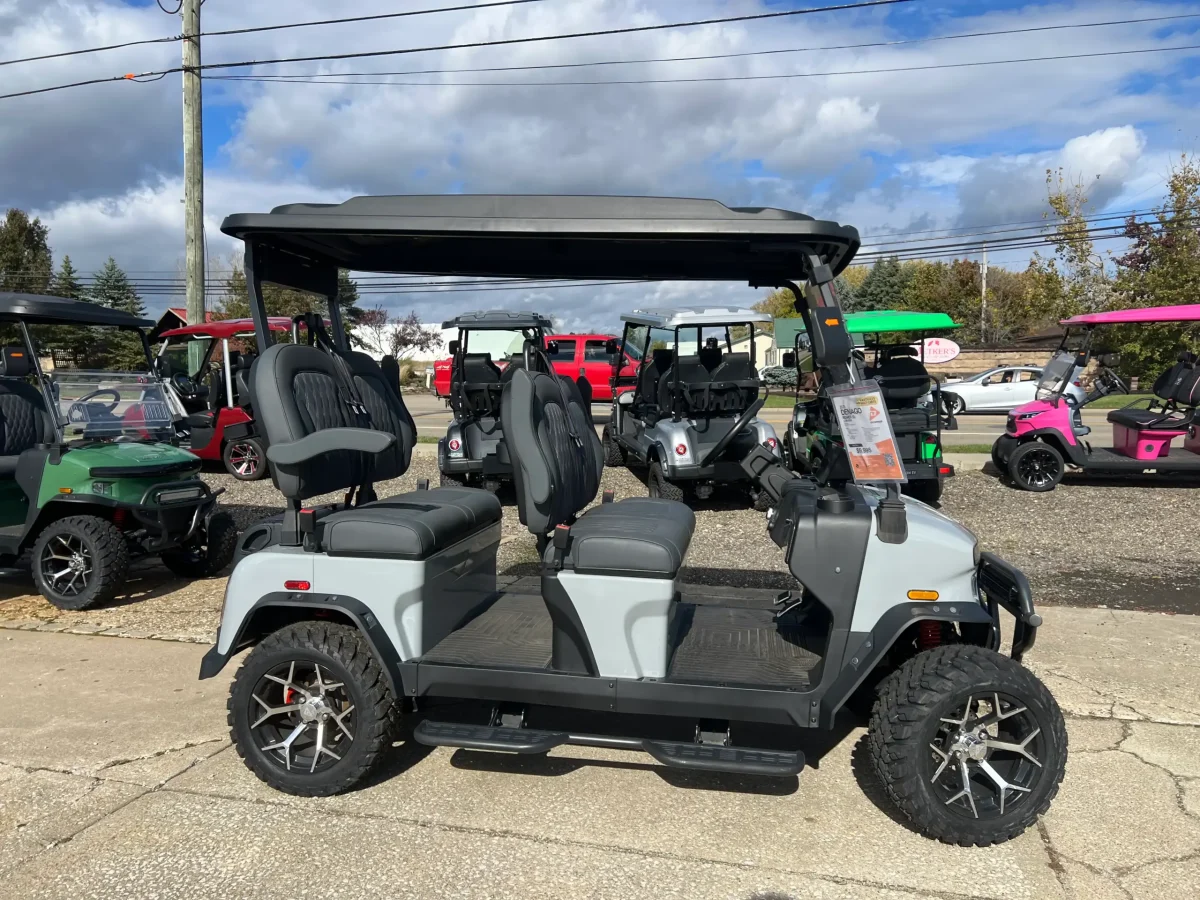 golf carts for sale near painesville Kirtland ohio 1
