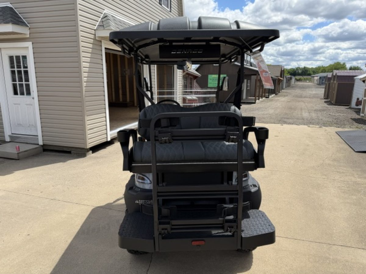lsv golf carts Willoughby Ohio