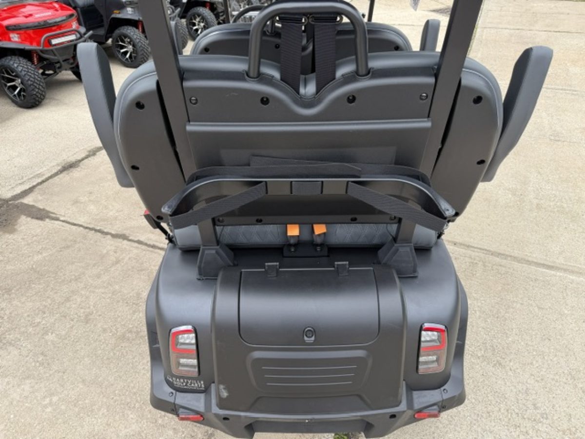 new denago ev rover xl​ Chardon Ohio