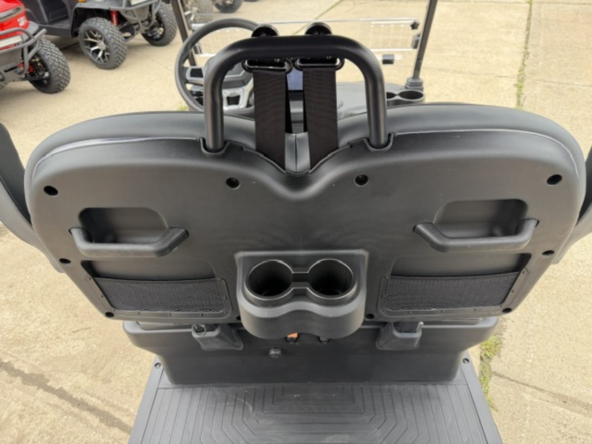 new denago ev rover xl​ Euclid Ohio