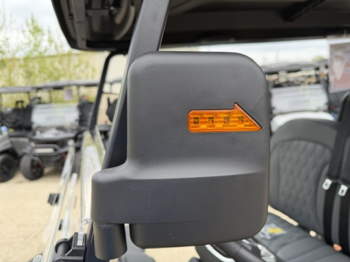 new denago ev rover xl​ Painesville Township Ohio
