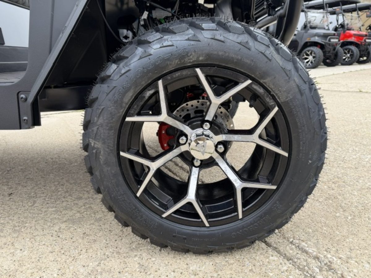 new denago golf cart​ Painesville Ohio