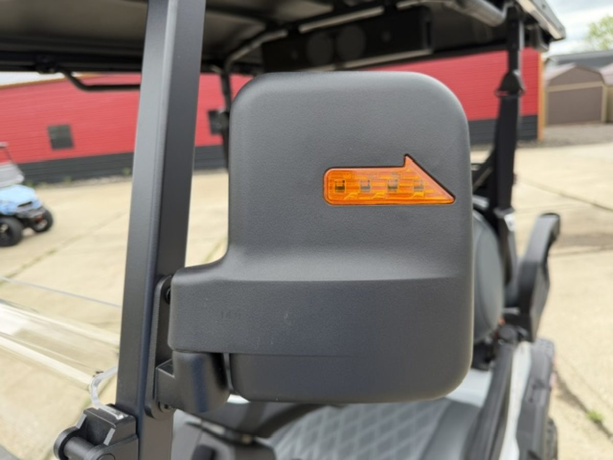 new denago golf cart​ Painesville Township Ohio