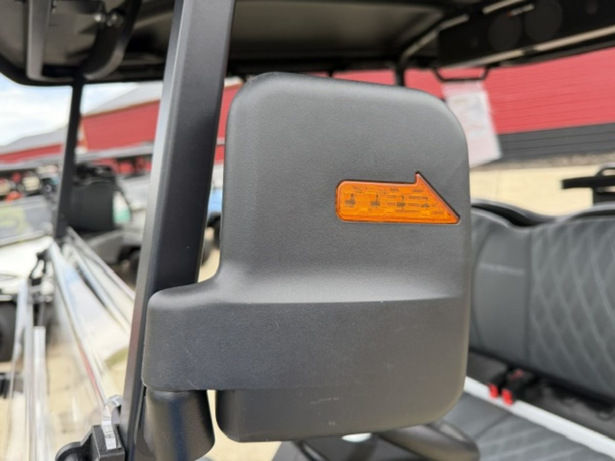 new denago golf cart​ on sale Painesville Township Ohio