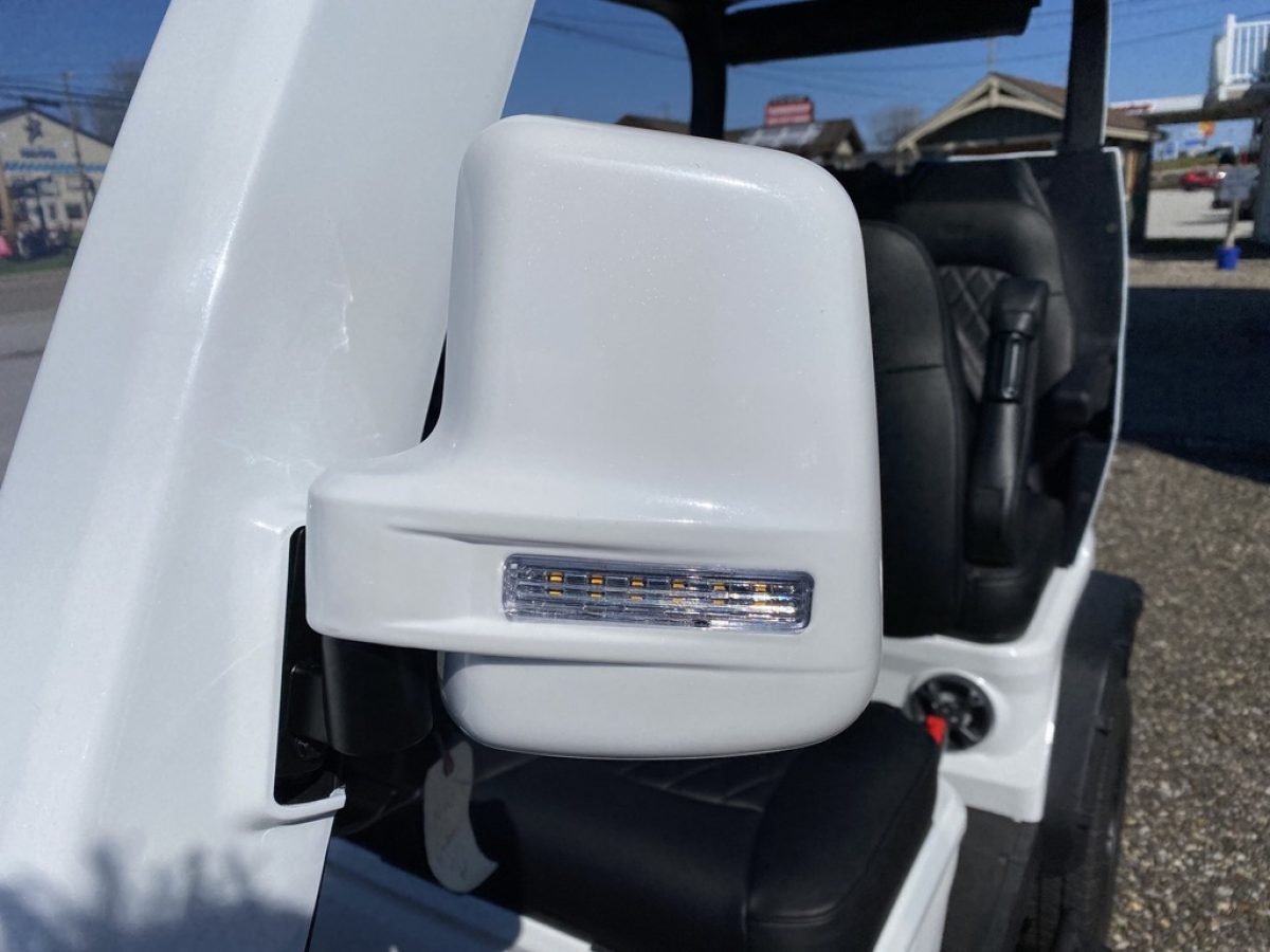 niu golf cart near me Mentor on the Lake Ohio