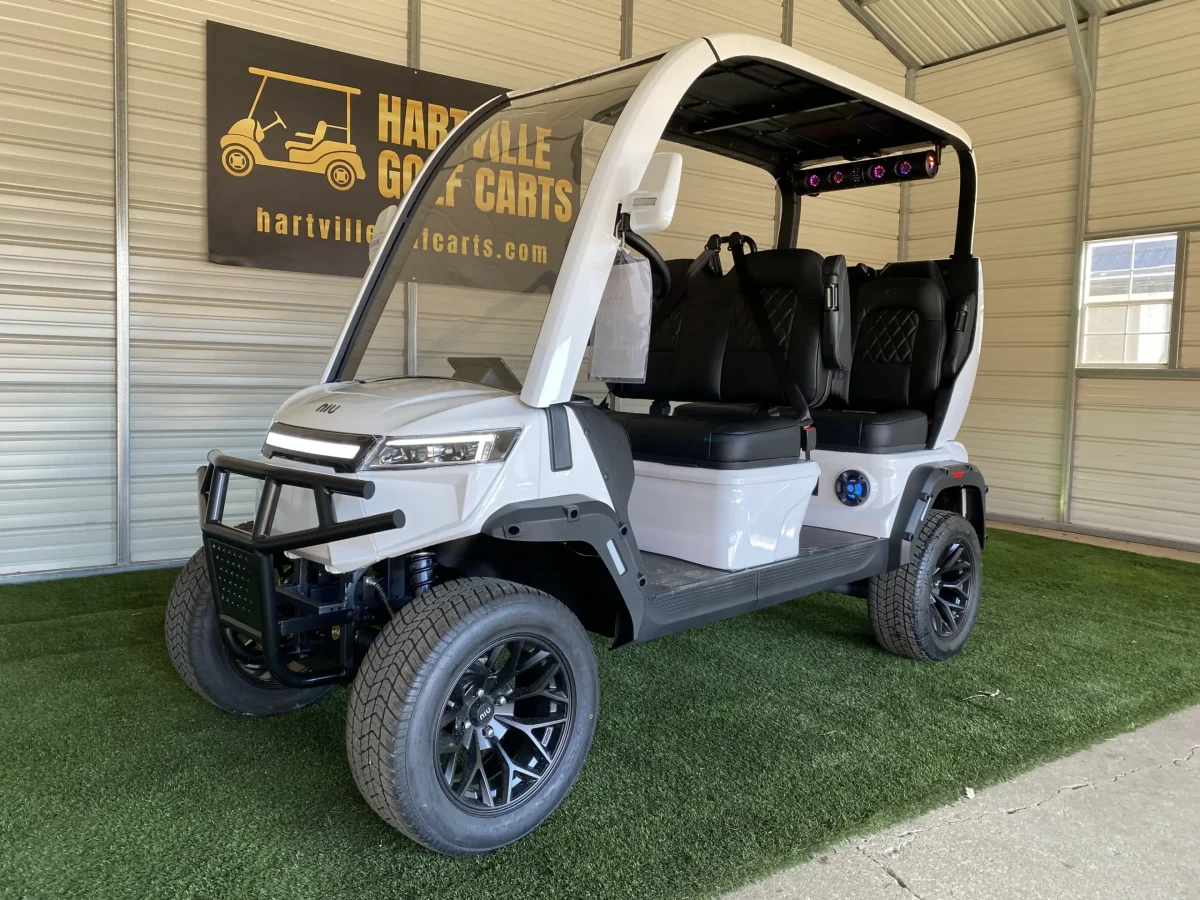 niu gt electric golf cart Mentor on the Lake Ohio