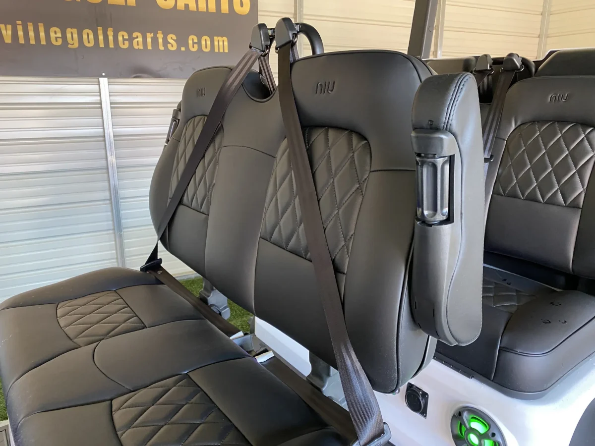 niu gt electric golf cart Painesville Township Ohio