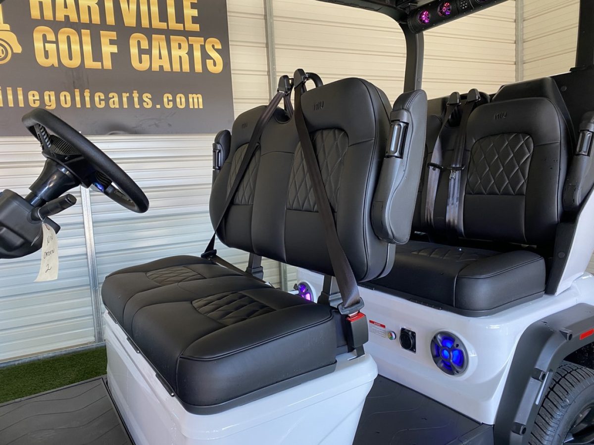 niu gt golf cart for sale Euclid Ohio