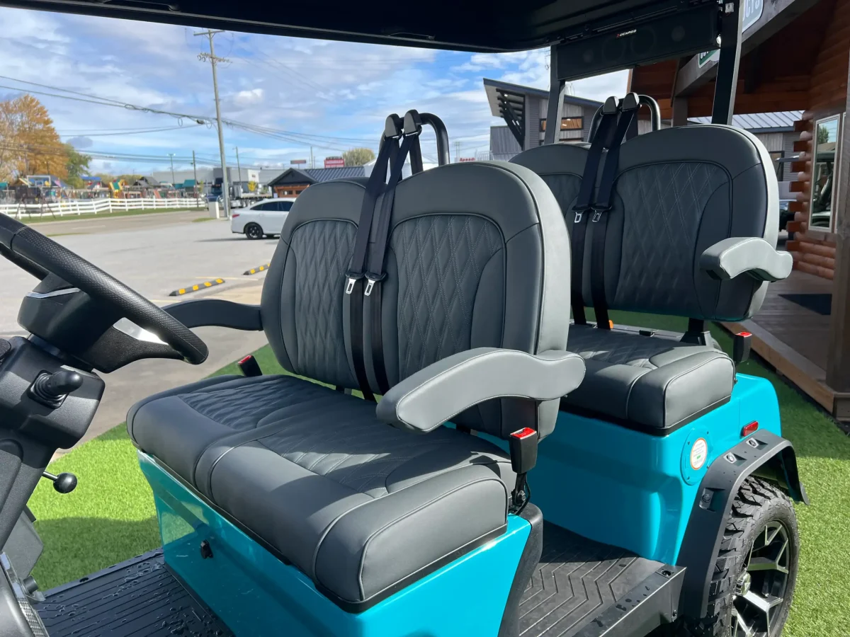 rover carts north Madison ohio 1