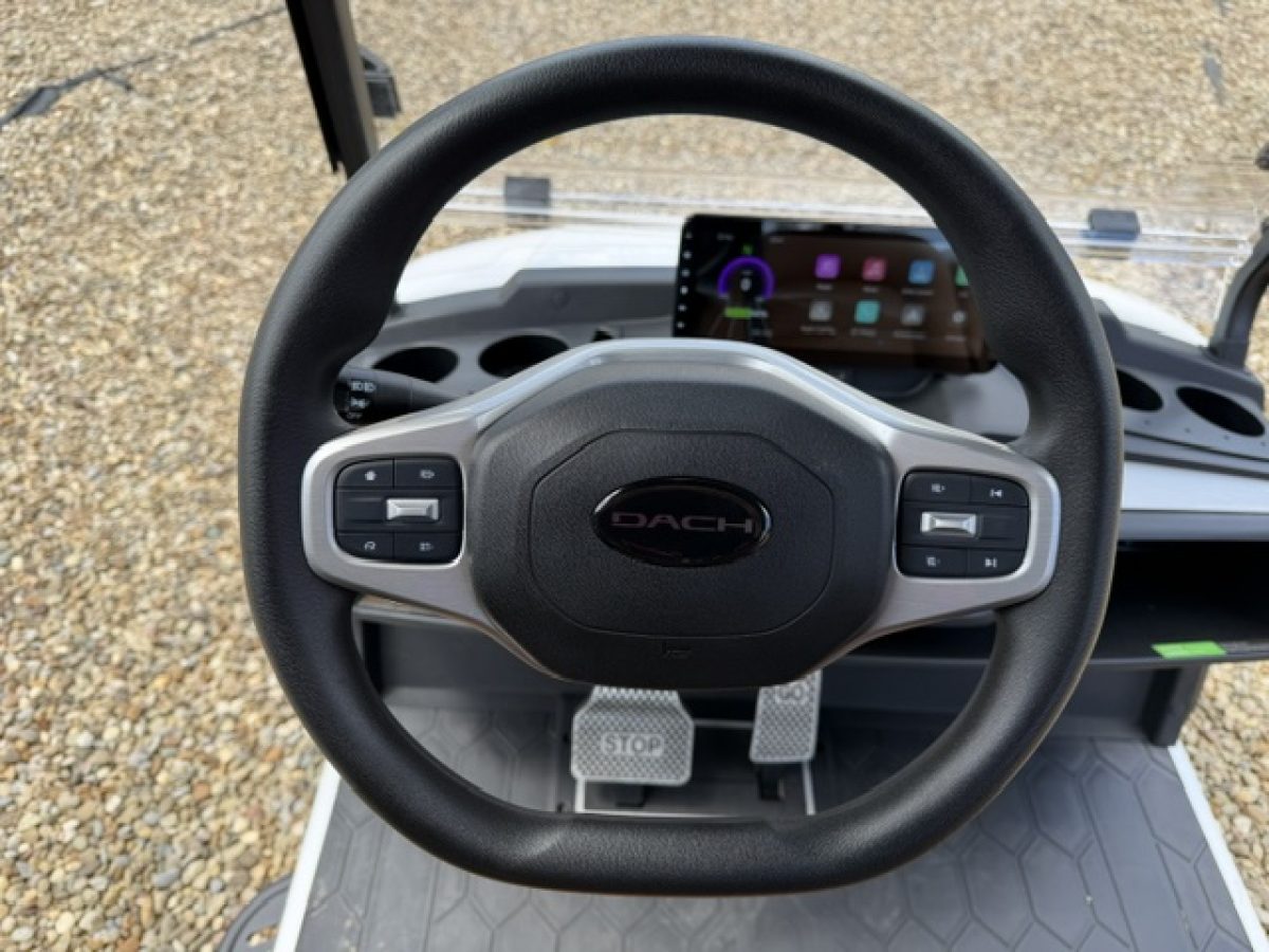 six seater electric golf cart​ Painesville Township Ohio