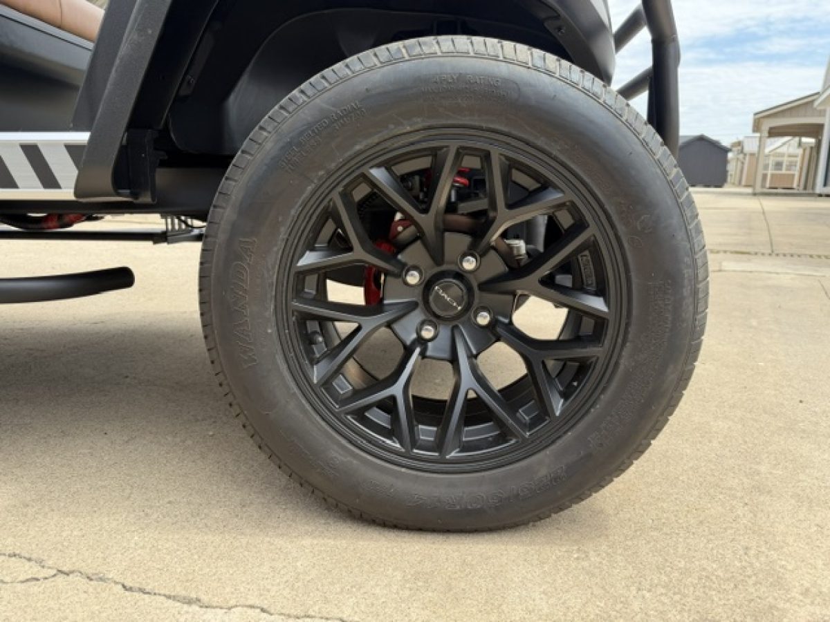 six seater electric golf cart​s Painesville Ohio
