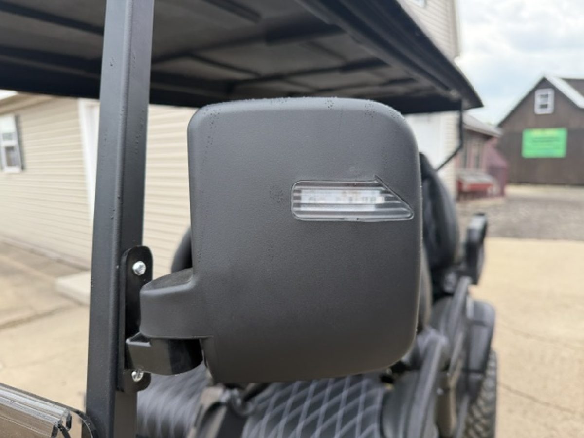 six seater golf cart​ near me Painesville Township Ohio