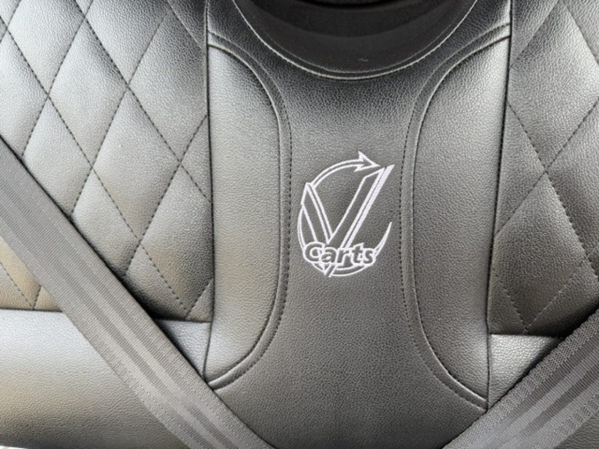 vcarts​ on sale Geneva Ohio